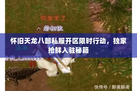 怀旧天龙八部私服开区限时行动，独家抢鲜入驻秘籍