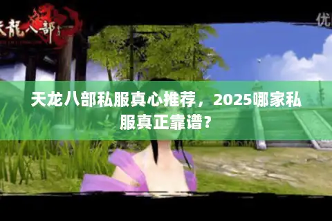 天龙八部私服真心推荐，2025哪家私服真正靠谱？