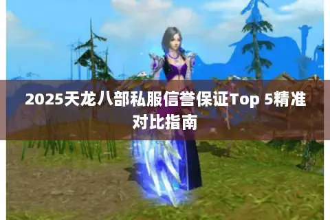 2025天龙八部私服信誉保证Top 5精准对比指南 2025天龙八部私服信誉保证Top 5精准对比指南