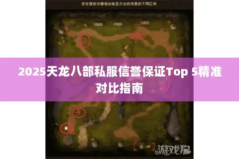 2025天龙八部私服信誉保证Top 5精准对比指南 2025天龙八部私服信誉保证Top 5精准对比指南
