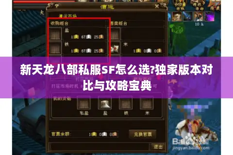 新天龙八部私服SF怎么选?独家版本对比与攻略宝典