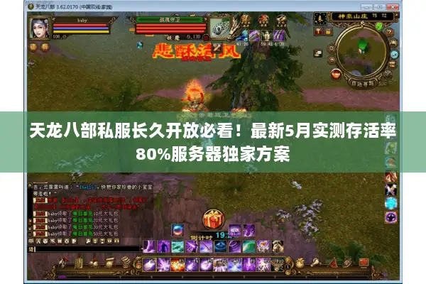天龙八部私服长久开放必看！最新5月实测存活率80%服务器独家方案