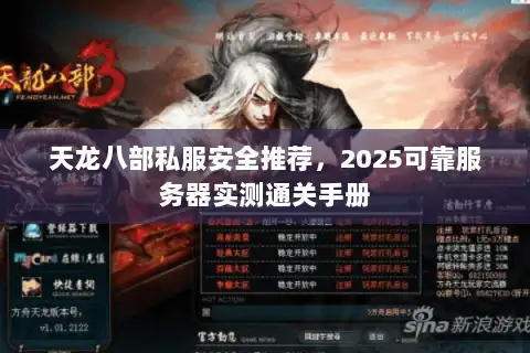 天龙八部私服安全推荐,2025可靠服务器实测通关手册 天龙八部私服安全推荐,2025可靠服务器实测通关手册