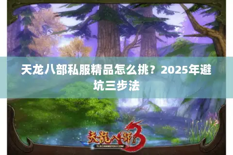 天龙八部私服精品怎么挑？2025年避坑三步法