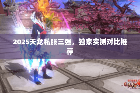 2025天龙私服三强，独家实测对比推荐