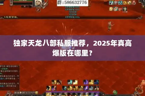 独家天龙八部私服推荐,2025年真高爆版在哪里? 独家天龙八部私服推荐,2025年真高爆版在哪里?