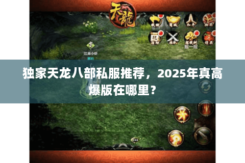 独家天龙八部私服推荐,2025年真高爆版在哪里? 独家天龙八部私服推荐,2025年真高爆版在哪里?