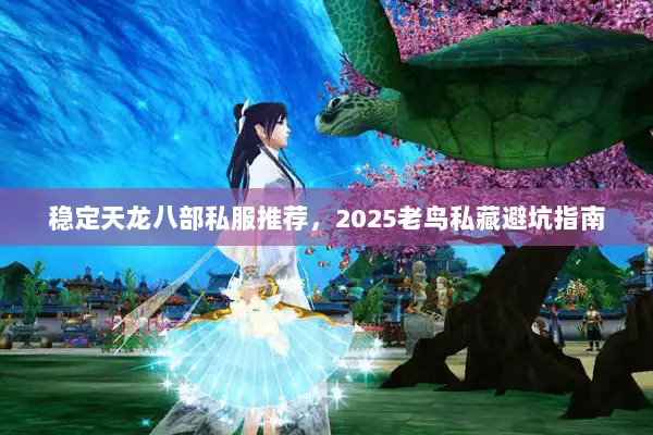 稳定天龙八部私服推荐，2025老鸟私藏避坑指南