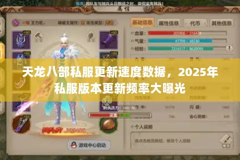 天龙八部私服更新速度数据，2025年私服版本更新频率大曝光