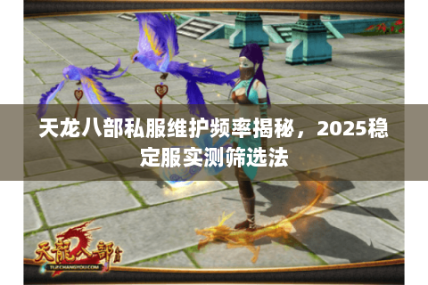 天龙八部私服维护频率揭秘，2025稳定服实测筛选法
