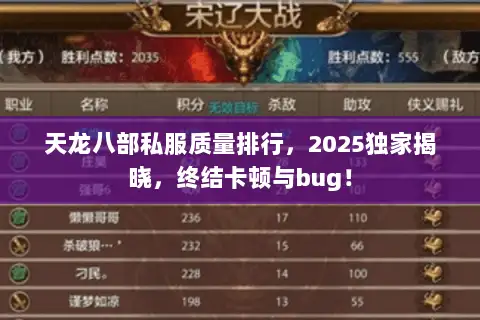 天龙八部私服质量排行，2025独家揭晓，终结卡顿与bug！