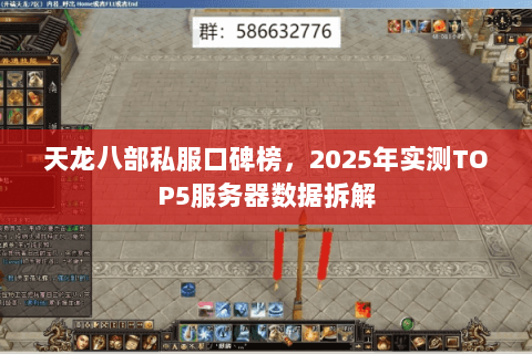 天龙八部私服口碑榜，2025年实测TOP5服务器数据拆解