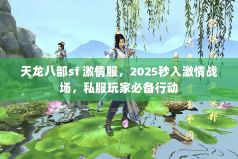天龙八部sf 激情服，2025秒入激情战场，私服玩家必备行动