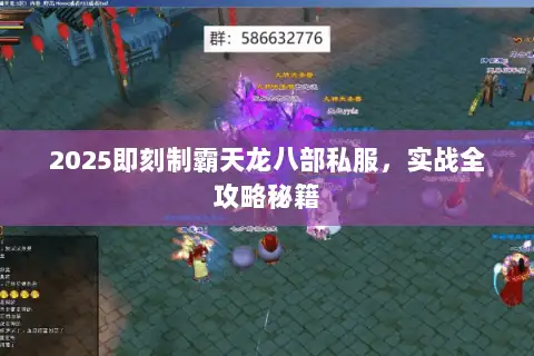 2025即刻制霸天龙八部私服,实战全攻略秘籍 2025即刻制霸天龙八部私服,实战全攻略秘籍