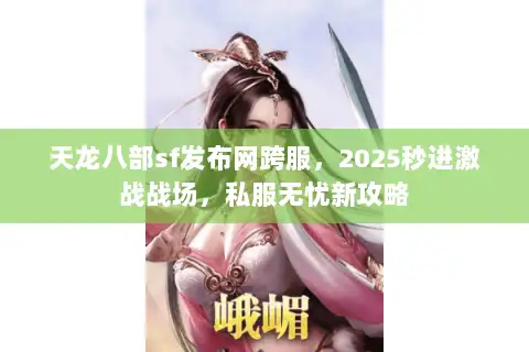 天龙八部sf发布网跨服，2025秒进激战战场，私服无忧新攻略
