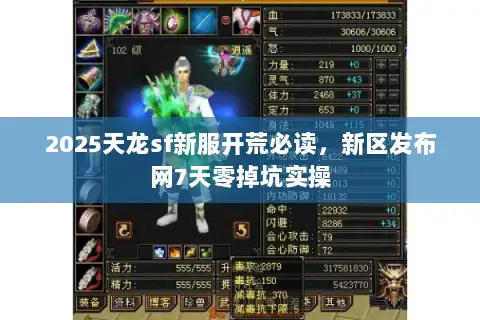 2025天龙sf新服开荒必读，新区发布网7天零掉坑实操