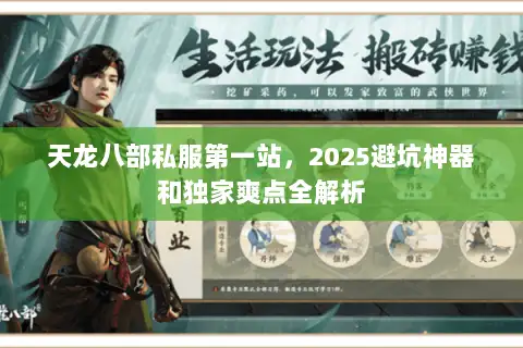 天龙八部私服第一站,2025避坑神器和独家爽点全解析 天龙八部私服第一站,2025避坑神器和独家爽点全解析