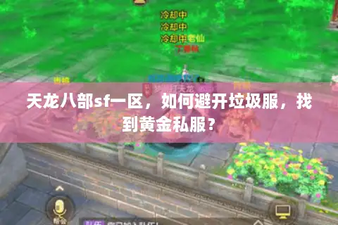 天龙八部sf一区,如何避开垃圾服,找到黄金私服? 天龙八部sf一区,如何避开垃圾服,找到黄金私服?