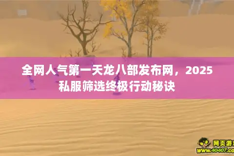 全网人气第一天龙八部发布网，2025私服筛选终极行动秘诀