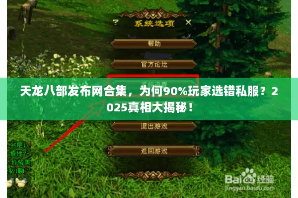 天龙八部发布网合集，为何90%玩家选错私服？2025真相大揭秘！