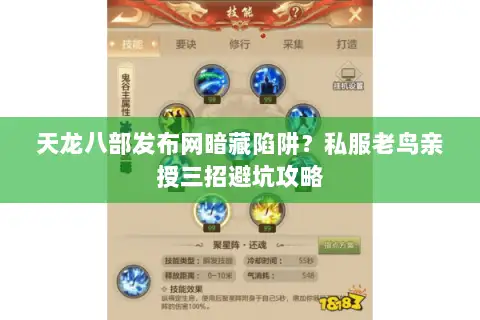 天龙八部发布网暗藏陷阱？私服老鸟亲授三招避坑攻略