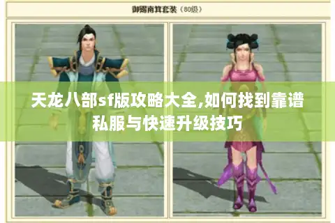 天龙八部sf版攻略大全,如何找到靠谱私服与快速升级技巧
