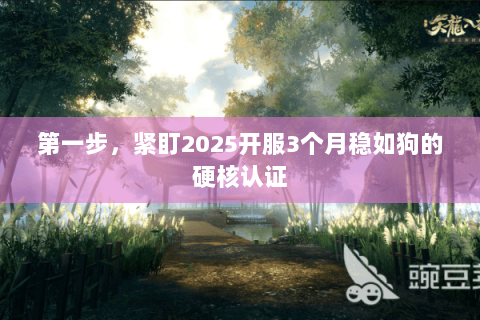 第一步,紧盯2025开服3个月稳如狗的硬核认证 第一步,紧盯2025开服3个月稳如狗的硬核认证
