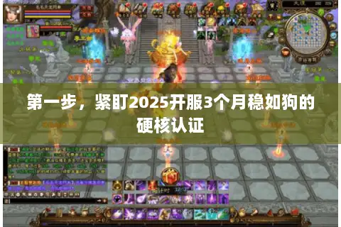第一步,紧盯2025开服3个月稳如狗的硬核认证 第一步,紧盯2025开服3个月稳如狗的硬核认证