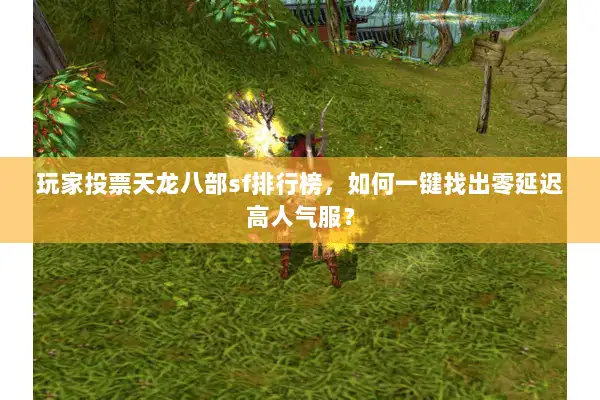 玩家投票天龙八部sf排行榜，如何一键找出零延迟高人气服？