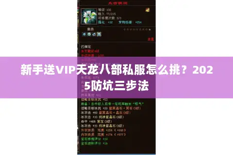 新手送VIP天龙八部私服怎么挑?2025防坑三步法 新手送VIP天龙八部私服怎么挑?2025防坑三步法