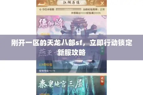 刚开一区的天龙八部sf，立即行动锁定新服攻略