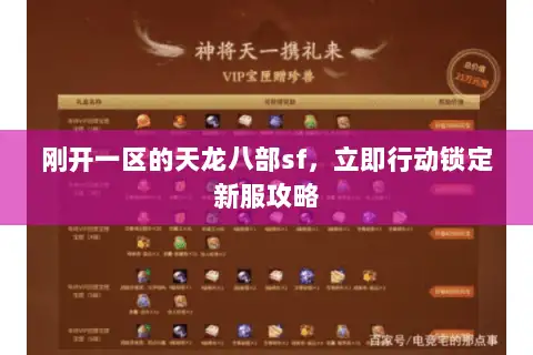 刚开一区的天龙八部sf，立即行动锁定新服攻略