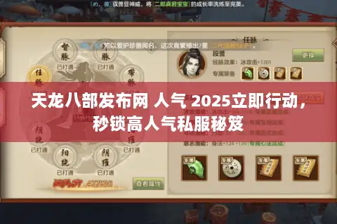 天龙八部发布网 人气 2025立即行动，秒锁高人气私服秘笈
