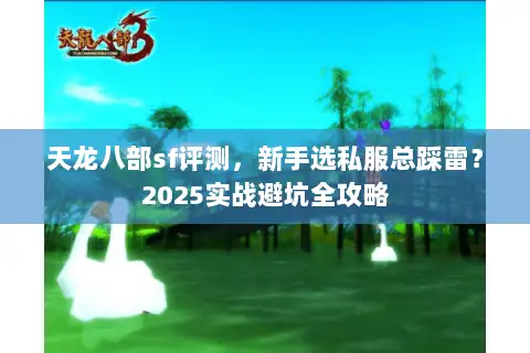 天龙八部sf评测，新手选私服总踩雷？2025实战避坑全攻略