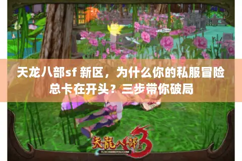 天龙八部sf 新区，为什么你的私服冒险总卡在开头？三步带你破局