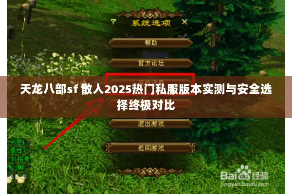 天龙八部sf 散人2025热门私服版本实测与安全选择终极对比