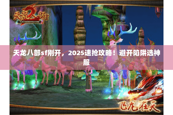 天龙八部sf刚开，2025速抢攻略！避开陷阱选神服
