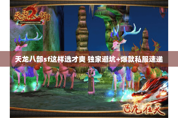 天龙八部sf这样选才爽 独家避坑+爆款私服速递