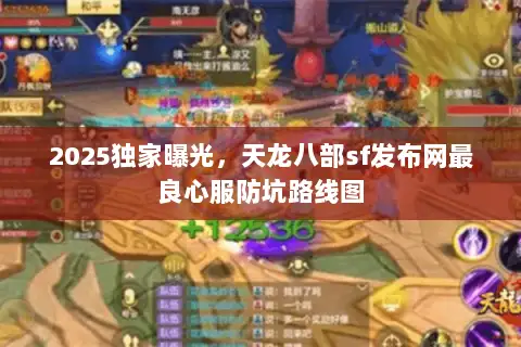 2025独家曝光，天龙八部sf发布网最良心服防坑路线图