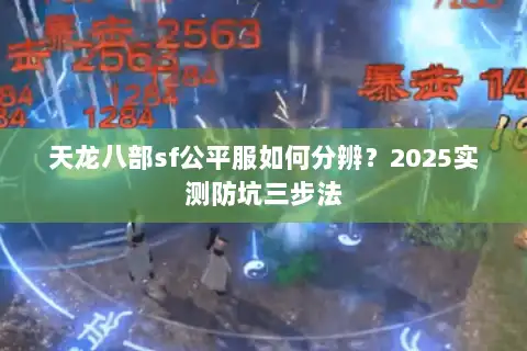 天龙八部sf公平服如何分辨？2025实测防坑三步法