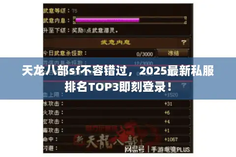 天龙八部sf不容错过，2025最新私服排名TOP3即刻登录！