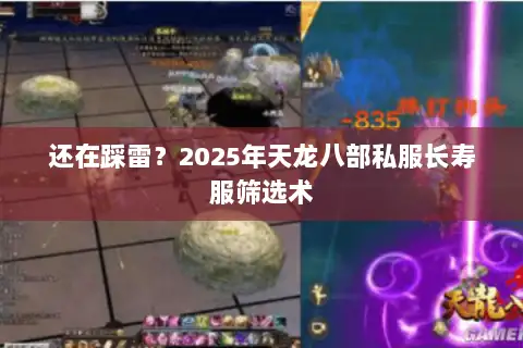 还在踩雷?2025年天龙八部私服长寿服筛选术 还在踩雷?2025年天龙八部私服长寿服筛选术