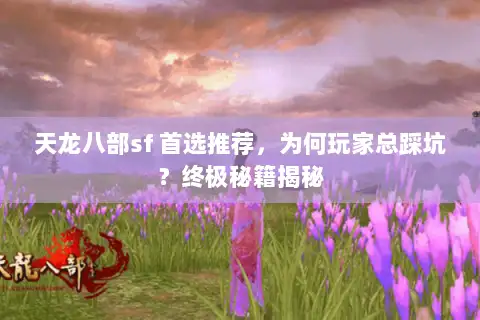 天龙八部sf 首选推荐,为何玩家总踩坑?终极秘籍揭秘 天龙八部sf 首选推荐,为何玩家总踩坑?终极秘籍揭秘