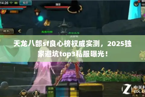 天龙八部sf良心榜权威实测，2025独家避坑top3私服曝光！