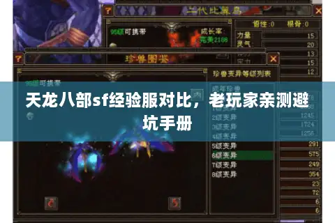 天龙八部sf经验服对比，老玩家亲测避坑手册