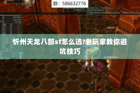 忻州天龙八部sf怎么选?老玩家教你避坑技巧 忻州天龙八部sf怎么选?老玩家教你避坑技巧