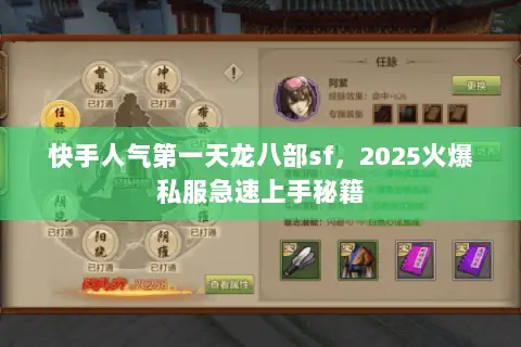 快手人气第一天龙八部sf，2025火爆私服急速上手秘籍