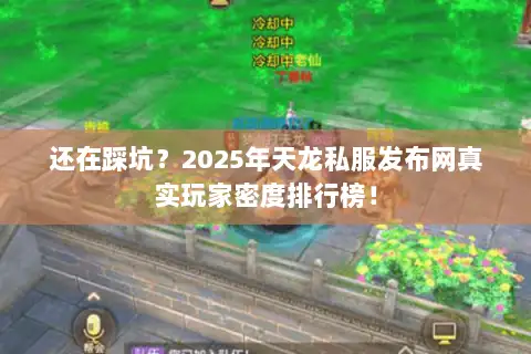 还在踩坑？2025年天龙私服发布网真实玩家密度排行榜！