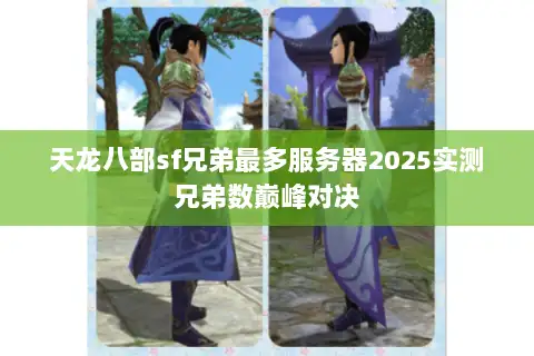 天龙八部sf兄弟最多服务器2025实测兄弟数巅峰对决