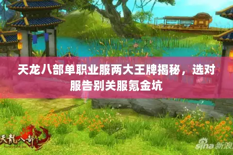 天龙八部单职业服两大王牌揭秘，选对服告别关服氪金坑